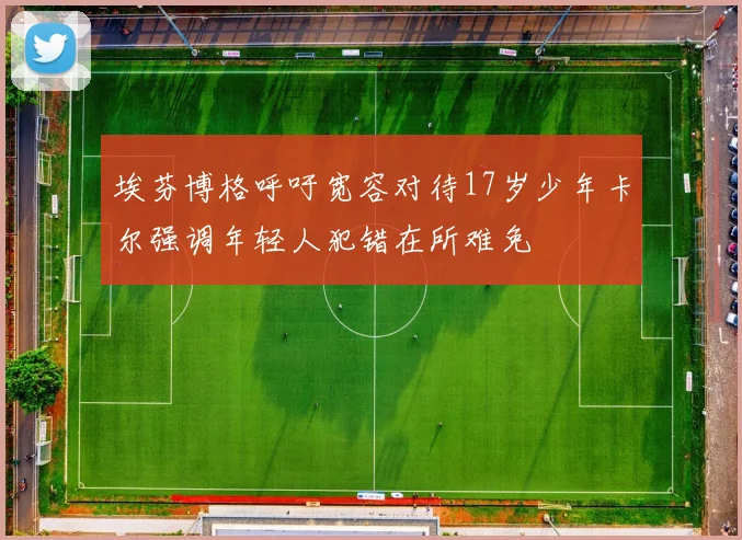 埃芬博格呼吁宽容对待17岁少年卡尔强调年轻人犯错在所难免